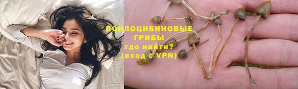 а пвп мука Абаза