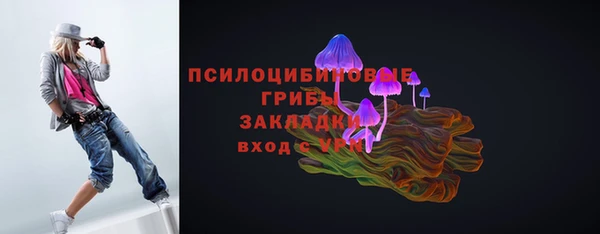 а пвп мука Абаза