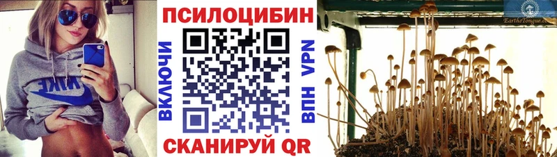 цена   Сысерть  kraken как зайти  это официальный сайт  Галлюциногенные грибы Psilocybine cubensis 